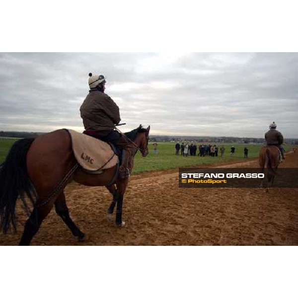 Newmarket 100104 Falbrav and italian friends ph. Stefano Grasso