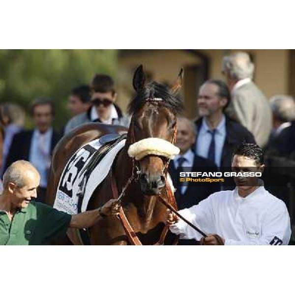 a close up for Worthadd winner of the 127° Derby Italiano Rome, 8th may 2010 ph. Stefano Grasso