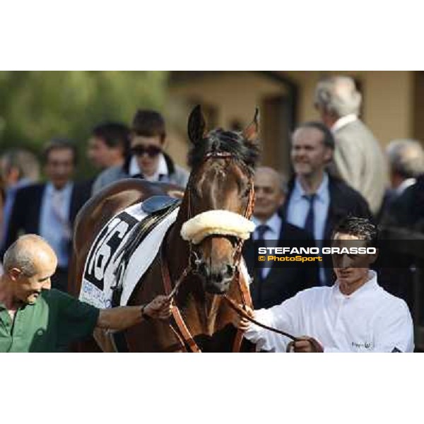 a close up for Worthadd winner of the 127° Derby Italiano Rome, 8th may 2010 ph. Stefano Grasso