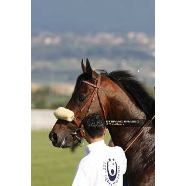 a close up for Worthadd winner of the 127° Derby Italiano Rome, 8th may 2010 ph. Stefano Grasso