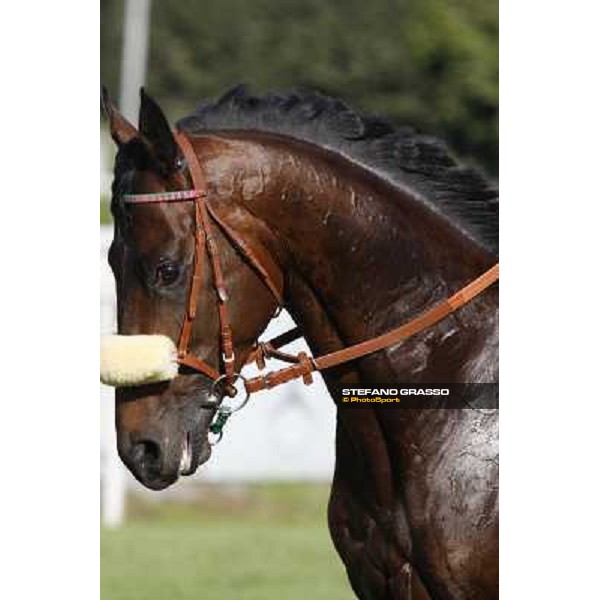 a close up for Worthadd winner of the 127° Derby Italiano Rome, 8th may 2010 ph. Stefano Grasso