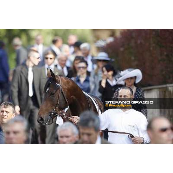 the paddock of the 127° Derby Italiano Rome, 8th may 2010 ph. Stefano Grasso