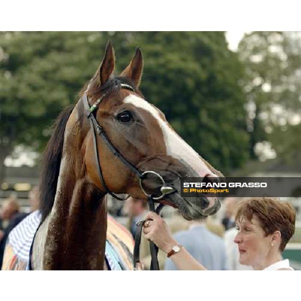 Quiff wins 18-8-04 pic bill Selwyn