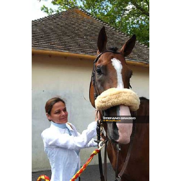 Electrocutionist Deauville 21st august 2004 ph. Stefano Grasso