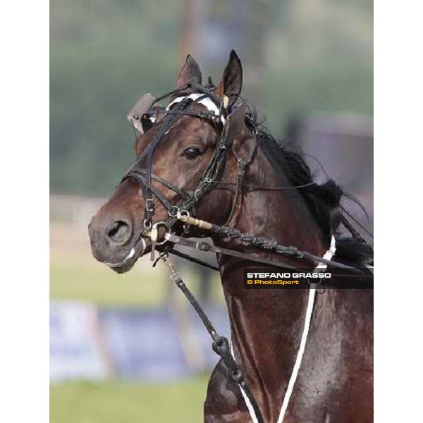Irambo Jet 61¡ Gp Lotteria Napoli, Agnano racetrack 2nd may 2010 ph. Stefano Grasso