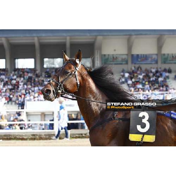 Irving Rivarco 61¡ Gp Lotteria - Final Napoli, Agnano racetrack 2nd may 2010 ph. Stefano Grasso