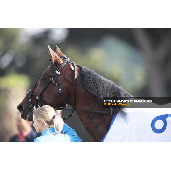 Irving Rivarco 61¡ Gp Lotteria - the final Napoli, Agnano racetrack 2nd may 2010 ph. Stefano Grasso