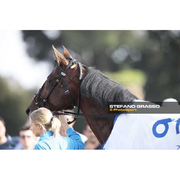 Irving Rivarco 61¡ Gp Lotteria - the final Napoli, Agnano racetrack 2nd may 2010 ph. Stefano Grasso