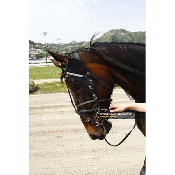 Ilaria Jet 61¡ Gp Lotteria Napoli, Agnano racetrack 2nd may 2010 ph. Stefano Grasso