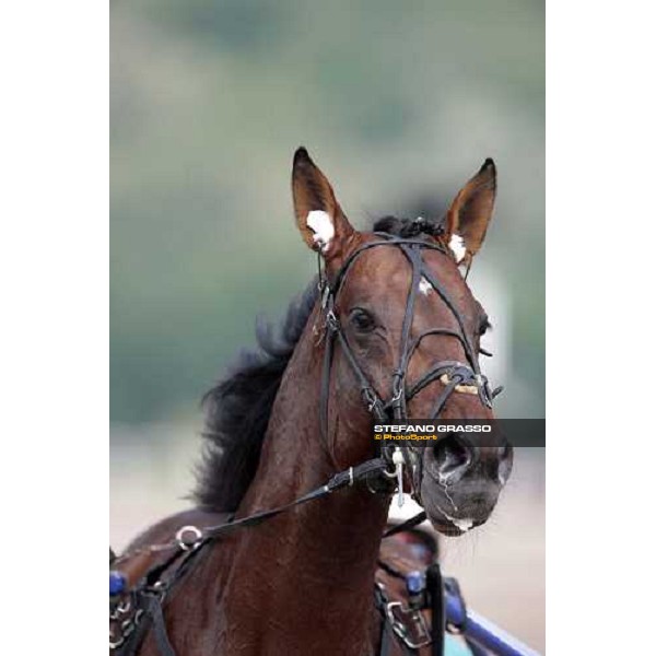 Irving Rivarco 61¡ Gran Premio Lotteria Napoli, 2nd may 2010 ph. Stefano Grasso