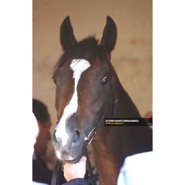 close up for Kaypen Deauville 21st august 2004 ph. Stefano Grasso