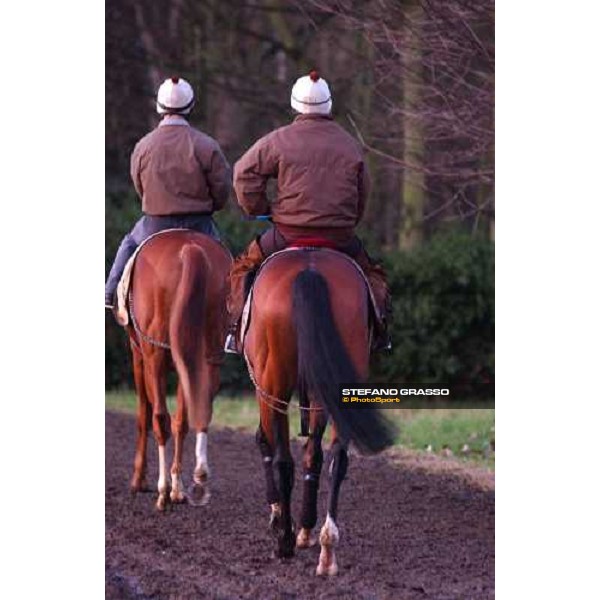 Newmarket 100104 Falbrav towards the last canter in Europe ph. Stefano Grasso