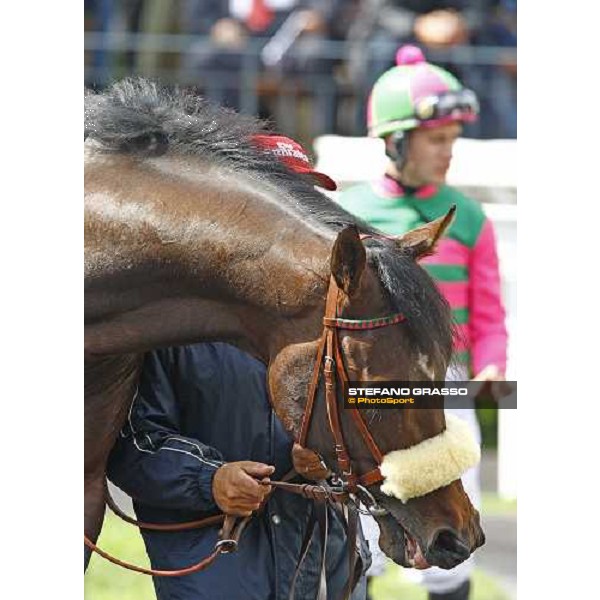 Anonimo Veneziano and Mirco Demuro Rome - Capannelle racetrack, 16th may 2010 ph. Stefano Grasso