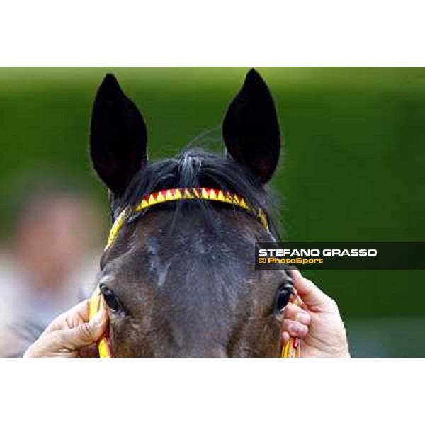 Moments Rome Capannelel racetrack 16th may 2010 ph. Stefano Grasso