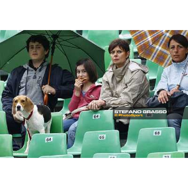 people Meydan Fei Nations Cup - 78¡ Csio Piazza di Siena Rome, 28th may 2010 ph. Stefano Grasso