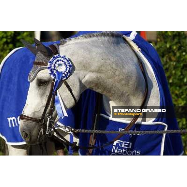 Mylord Carthago HN Meydan Fei Nations Cup - 78¡ Csio Piazza di Siena Rome, 28th may 2010 ph. Stefano Grasso