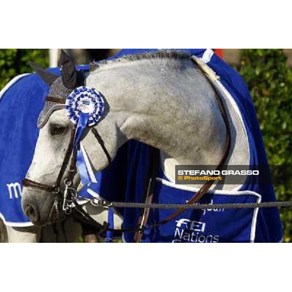 Mylord Carthago HN Meydan Fei Nations Cup - 78¡ Csio Piazza di Siena Rome, 28th may 2010 ph. Stefano Grasso