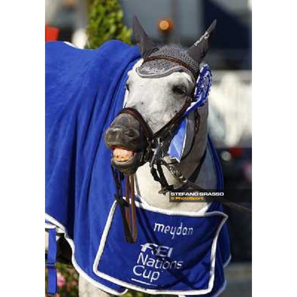 Mylord Carthago HN Meydan Fei Nations Cup - 78¡ Csio Piazza di Siena Rome, 28th may 2010 ph. Stefano Grasso