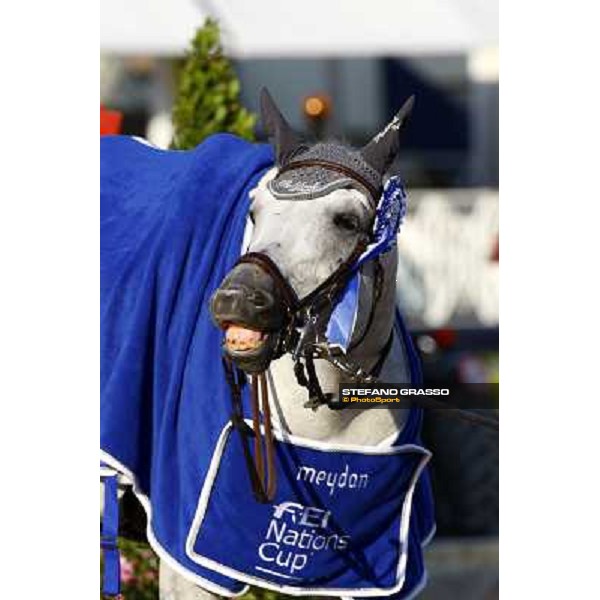 Mylord Carthago HN Meydan Fei Nations Cup - 78¡ Csio Piazza di Siena Rome, 28th may 2010 ph. Stefano Grasso