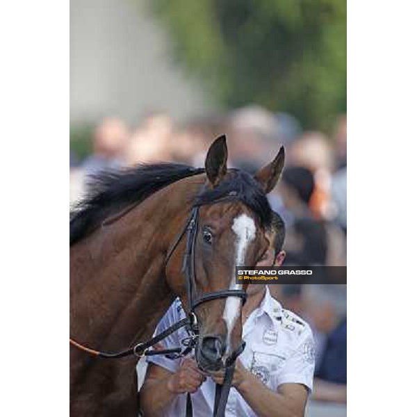 Fanunalter in the paddock of the Premio Carlo Vittadini Milan - San Siro racetrack, 30th may 2010 ph. Stefano Grasso