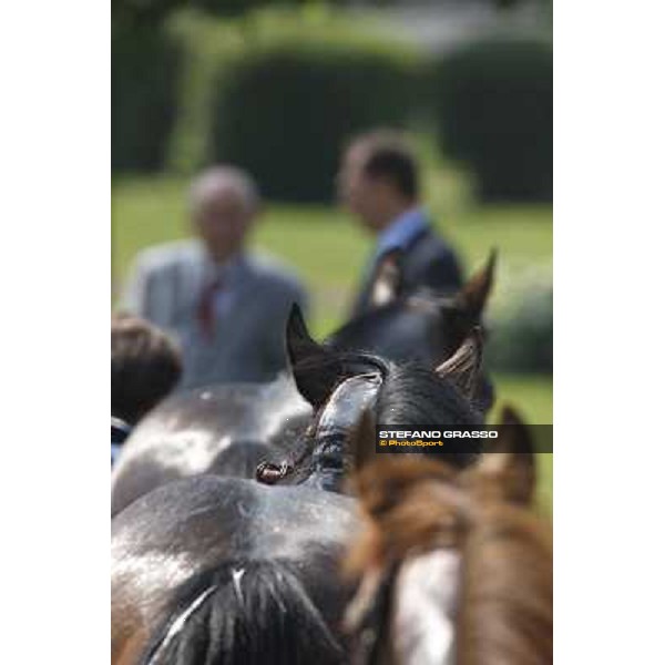 Horses away please ! Milan - San Siro racetrack, 30th may 2010 ph. Stefano Grasso