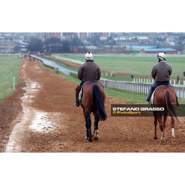 Newmarket 100104 Falbrav on the way to Japan ph. Stefano Grasso