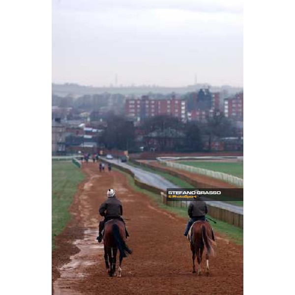 Newmarket 100104 Falbrav on the way to Japan ph. Stefano Grasso
