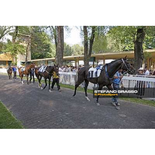 Frammassone parades before winning the Gran Corsa Siepi d\' Italia Merano, 6th june 2010 ph. Stefano Grasso