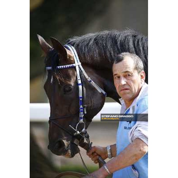 Frammassone winner of Gran Corsa Siepi d\' Italia Merano, 6th june 2010 ph. Stefano Grasso
