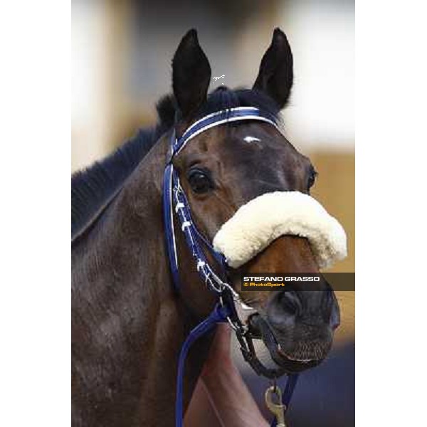 a close up for Perdono Merano, 6th june 2010 ph. Stefano Grasso