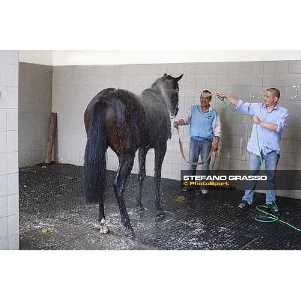 a shower for Frammassone winner of the Gran Corsa Siepi d\' Italia Merano, 6th june 2010 ph. Stefano Grasso