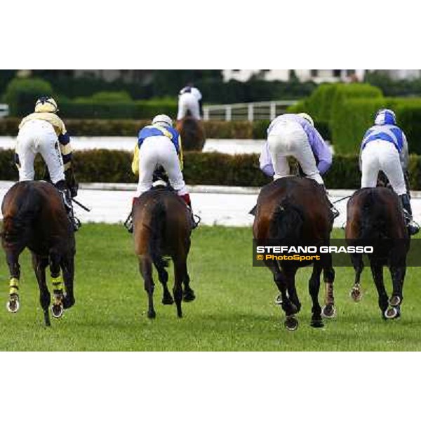 Frammassone, Gimmy, Royal Mugins and Makalde during the Gran Corsa Siepi d\' Italia Merano, 6th june 2010 ph. Stefano Grasso
