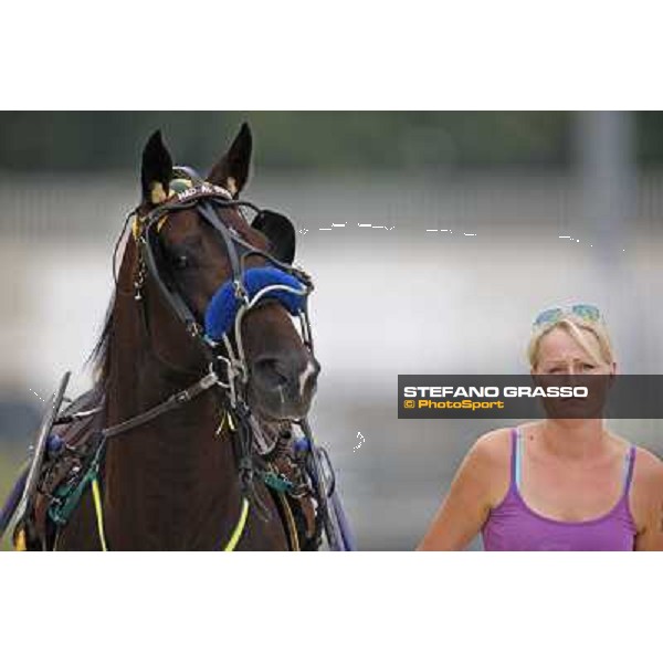 Nad Al Sheba with his groom before winning the Gran Premio Nazionale \'Memorial Gianni Ferraris at the world record of 1.12.1/km . Milan, San Siro racetrack 12th june 2010 ph. Stefano Grasso