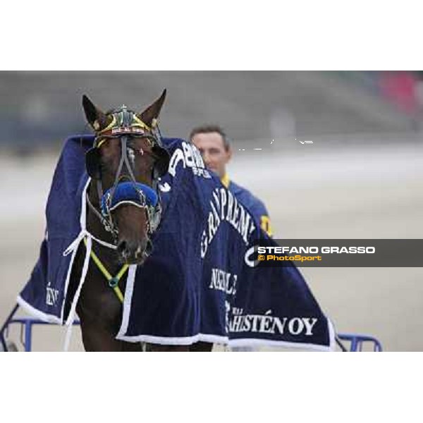 Davide Nuti with Nad Al Sheba after winning the Gran Premio Nazionale \'Memorial Gianni Ferraris at the world record of 1.12.1/km . Milan, San Siro racetrack 12th june 2010 ph. Stefano Grasso