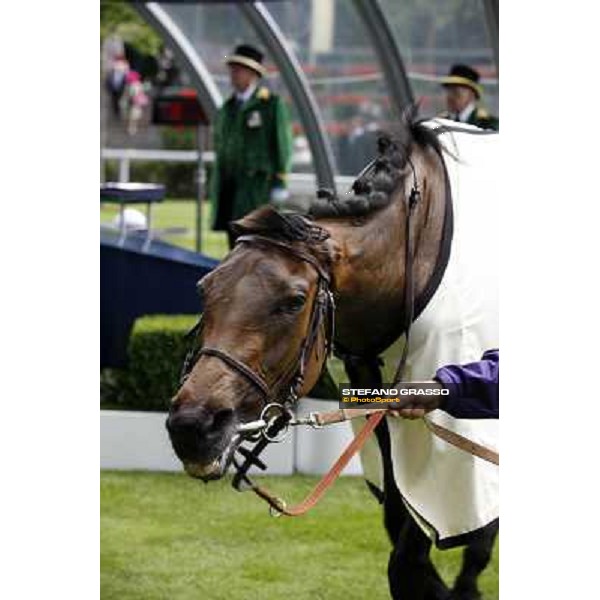 Royal Ascot - 1st day - Goldikova Ascot, 15th june 2010 ph.Stefano Grasso