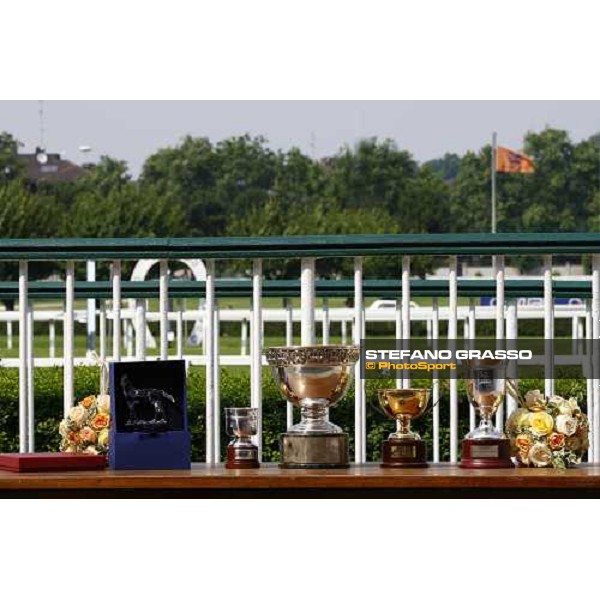 The trophies of the Premio Paolo Mezzanotte Milan, San Siro racetrack - 27th june 2010 ph. Stefano Grasso
