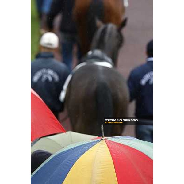 The paddock Milan, San Siro racetrack, 20th june 2010 ph. Stefano Grasso