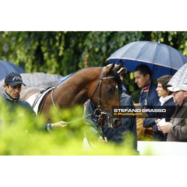 a horse parades before the race Milan, San Siro racetrack, 20th june 2010 ph. Stefano Grasso