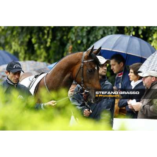 a horse parades before the race Milan, San Siro racetrack, 20th june 2010 ph. Stefano Grasso
