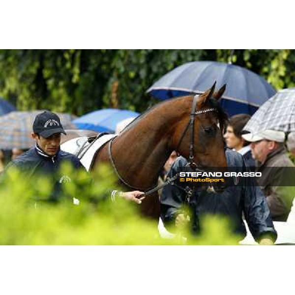 a horse parades before the race Milan, San Siro racetrack, 20th june 2010 ph. Stefano Grasso