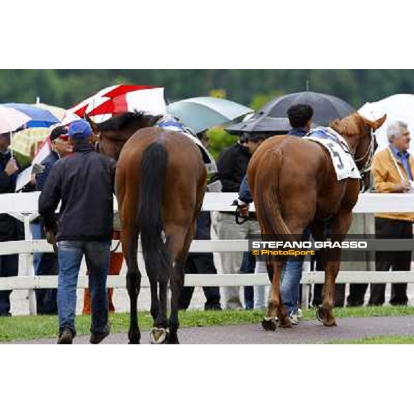 two horses parade before the race Milan, San Siro racetrack, 20th june 2010 ph. Stefano Grasso