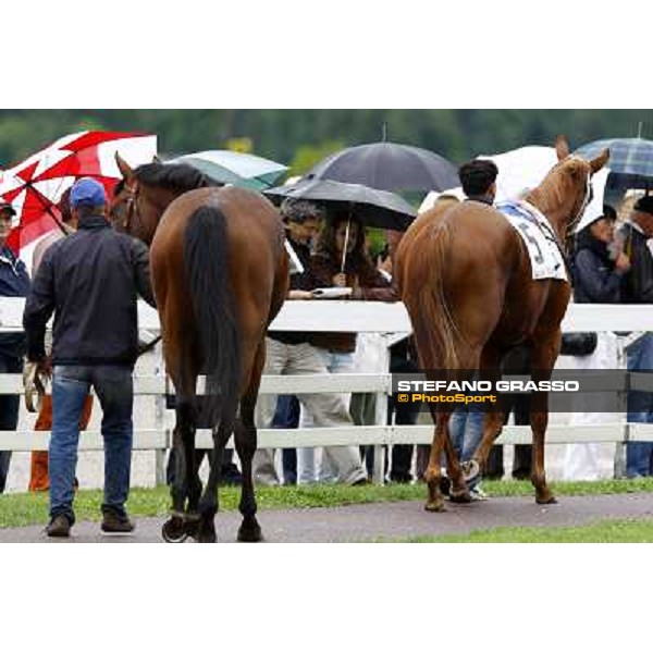 two horses parade before the race Milan, San Siro racetrack, 20th june 2010 ph. Stefano Grasso