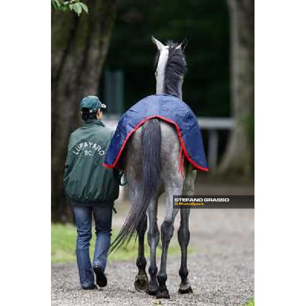 Zundapp before the race Milan, San Siro racetrack, 20th june 2010 ph. Stefano Grasso