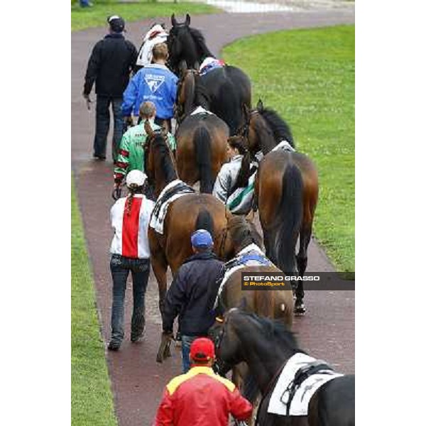 the horses of the LXXVII Royal Mares parade before the race Milan, San Siro racetrack, 20th june 2010 ph. Stefano Grasso