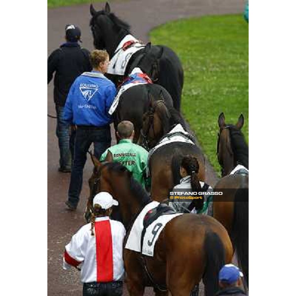 the horses of the LXXVII Royal Mares parade before the race Milan, San Siro racetrack, 20th june 2010 ph. Stefano Grasso