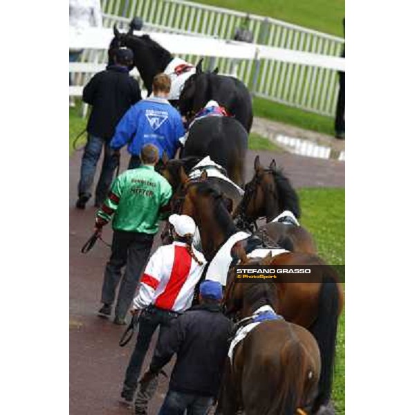 the horses of the LXXVII Royal Mares parade before the race Milan, San Siro racetrack, 20th june 2010 ph. Stefano Grasso