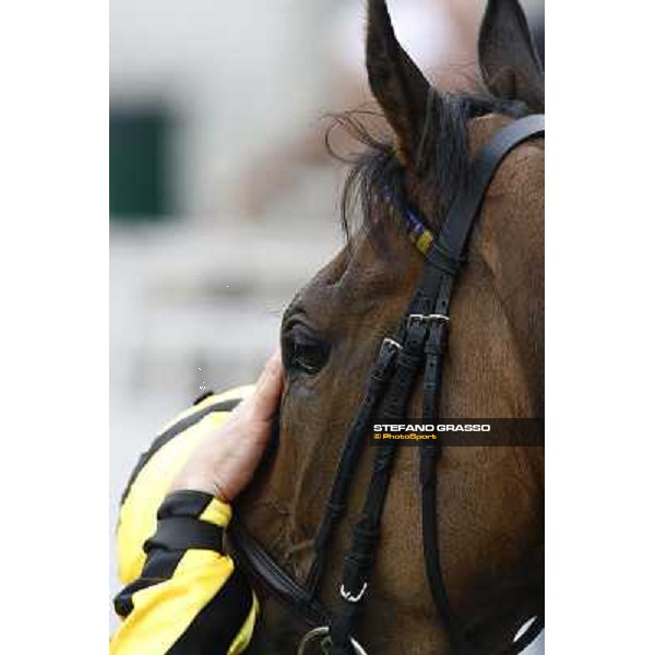 a caress to Rockatella after winning the LXXVII Royal Mares Milan, San Siro racetrack, 20th june 2010 ph. Stefano Grasso
