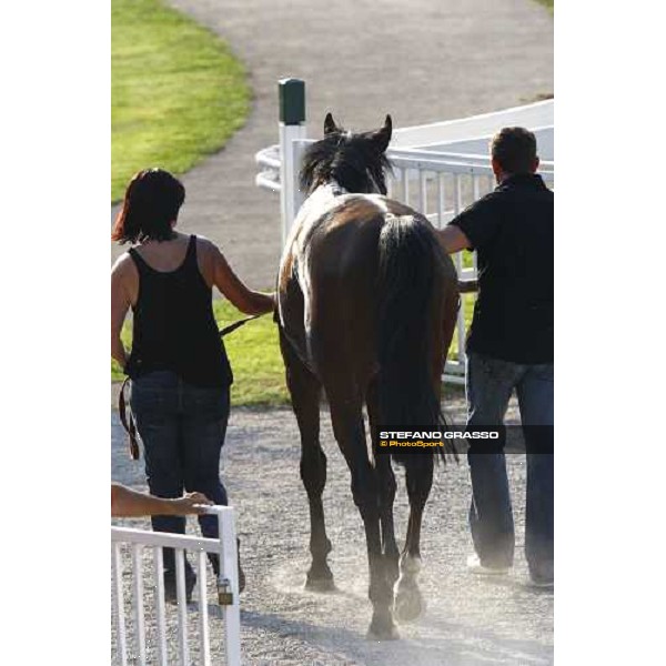 Estejo returns home after winning the Premio di Lombardia Milan - San Siro racetrack, 4th july 2010 ph. Stefano Grasso
