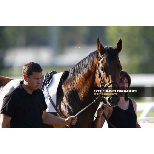 Estejo parading before winning the Premio di Lombardia Milan - San Siro racetrack, 4th july 2010 ph. Stefano Grasso