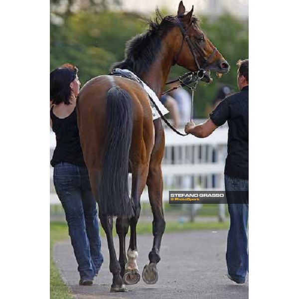 Estejo parading before winning the Premio di Lombardia Milan - San Siro racetrack, 4th july 2010 ph. Stefano Grasso